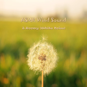 ASMR 바람소리 (자연 집중 자장가)