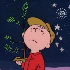 生命中最美丽的一天