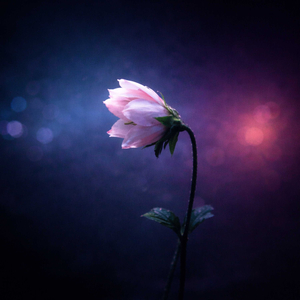 まだ言えないまま