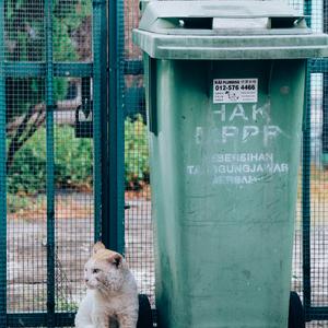 谁和谁的相爱---电影《校花隔壁的流川枫》插曲