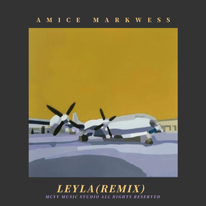 Leyla (Amice＆Mark Remix)