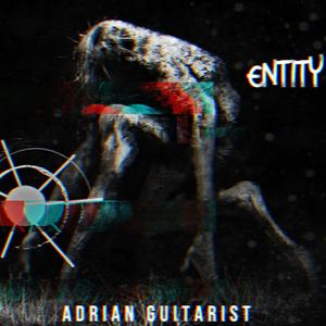 Entity