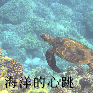 海洋的心跳