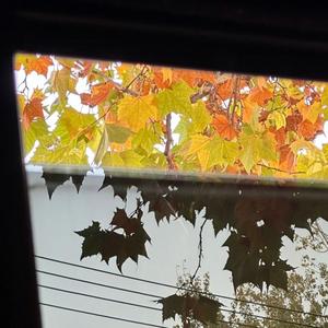 逝去的爱（Love is over）