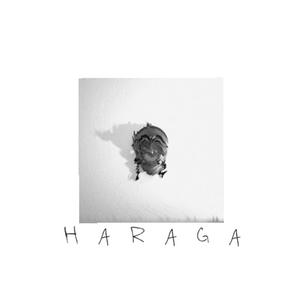 HARAGA