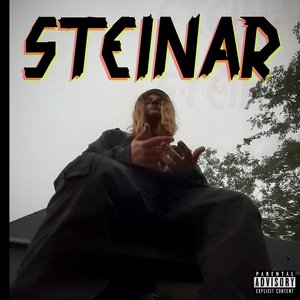 Steinar