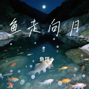 鱼走向月