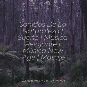 Rapsodia de Resonancia Opulenta