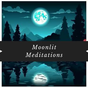 Lush Landscapes (Night Sounds)