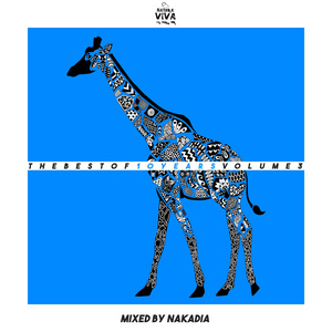 Dinner for Valentine