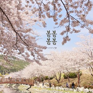 봄봄봄봄