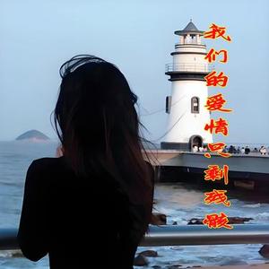 我们的爱情只剩残骸 (女声版)