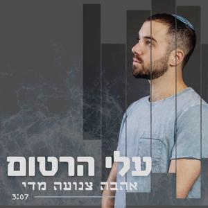 אהבה צנועה מדי