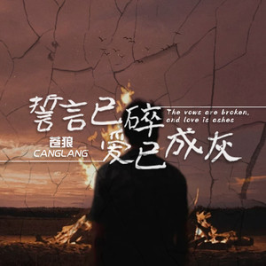 誓言已碎爱已成灰 (DJ版)