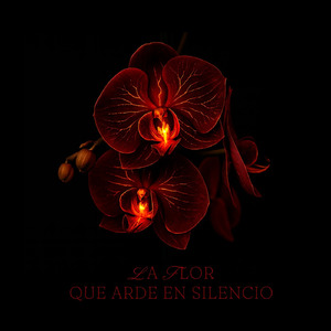 ¿De qué sirve quedarme?