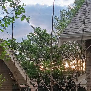 Want You More Master.wav