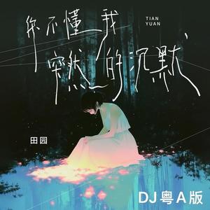 你不懂我突然的沉默 (DJ粤A版)