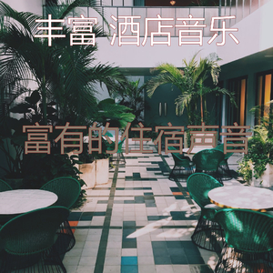 优美酒店鸡尾酒吧器乐