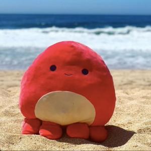 surfer squishmallow