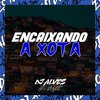 Dj Alves no Beat - Encaixando a Xota (feat. mc pl alves)