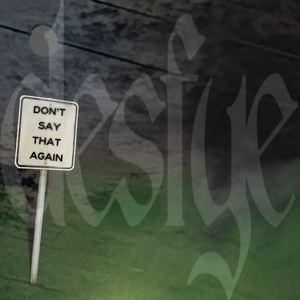 DON'T SAY THAT AGAIN