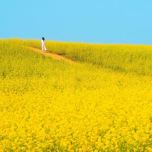 Spring, Slowly