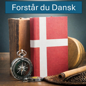 Forstår du Dansk