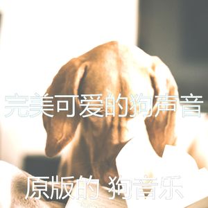 抚慰的可爱的狗回忆