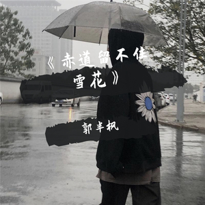 赤道留不住雪花（半枫）