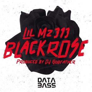 Super Swag (Remix)