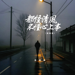 都怪清风不懂心上事 (烟嗓版)