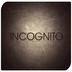 The Song (Exclusive Mix)