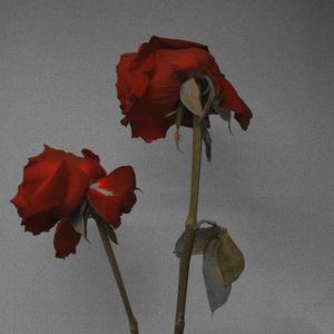 爱情故事2024（prod.白昼星BZX)