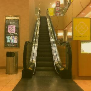 Water Boarding Space Giraffe