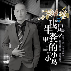 我是牛粪里的小小鸟