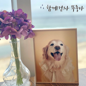 함께걷자 뚜룽아