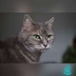 大头猫Demo（prod.RedRumMusic）