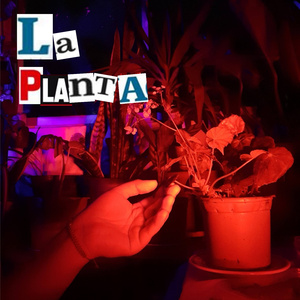 La planta