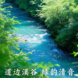 小溪流白噪声：叮咚、山涧、舒缓