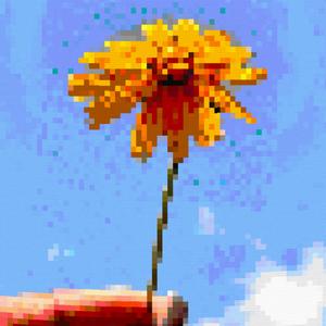 blossoming