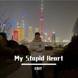 My Stupid Heart（DJHY版）