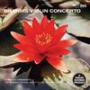 Herman Krebbers - Violin Concerto in D Major, Op. 77:I. Allegro non troppo