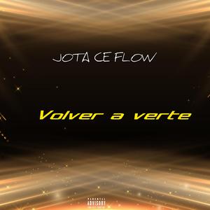 VOLVER A VERTE
