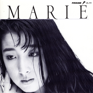 雨のペイヴメント