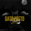 Azv - Gato Preto