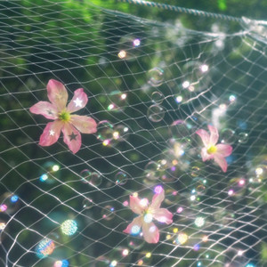 月亮还在老地方