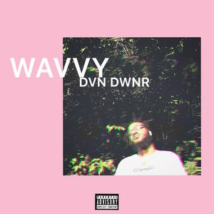 Wavvy