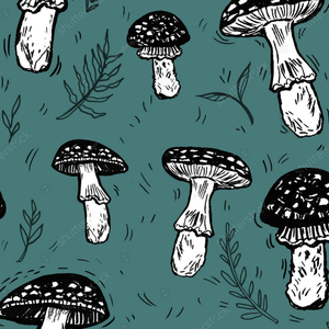 CATUCADÃO EL PATRON 02