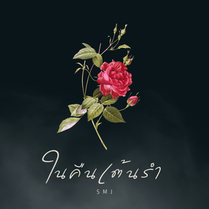 ในคืนเต้นรำ