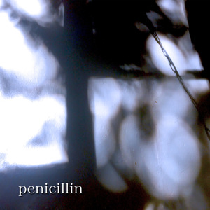 penicillin